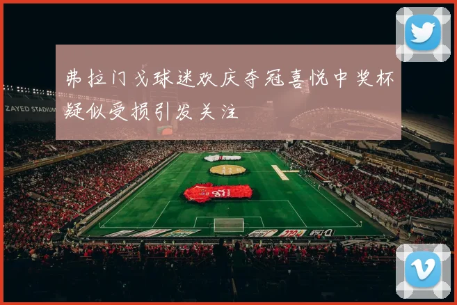 弗拉门戈球迷欢庆夺冠喜悦中奖杯疑似受损引发关注